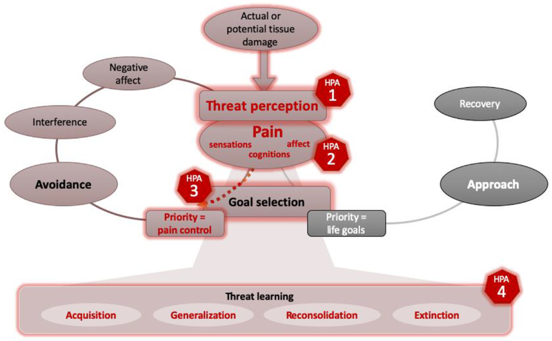 Figure 2: