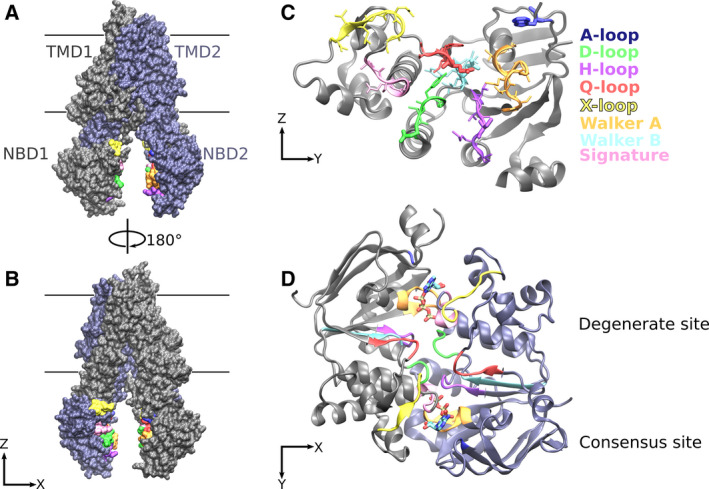 Fig. 1