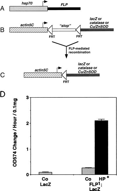 FIG. 1