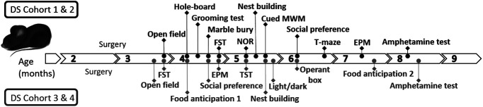 Figure 1.