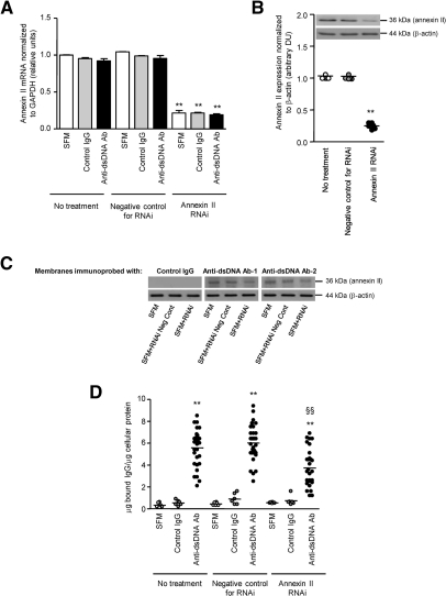 Figure 11.