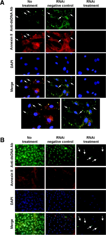 Figure 12.