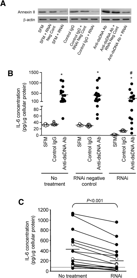 Figure 13.