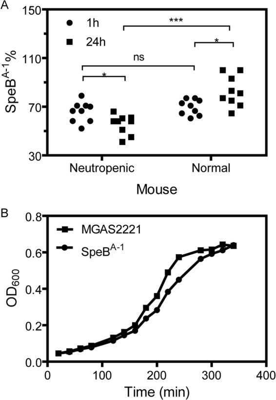 FIG 5