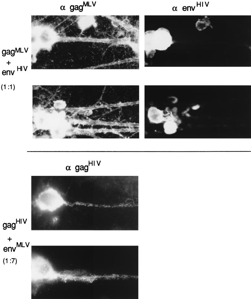 FIG. 10