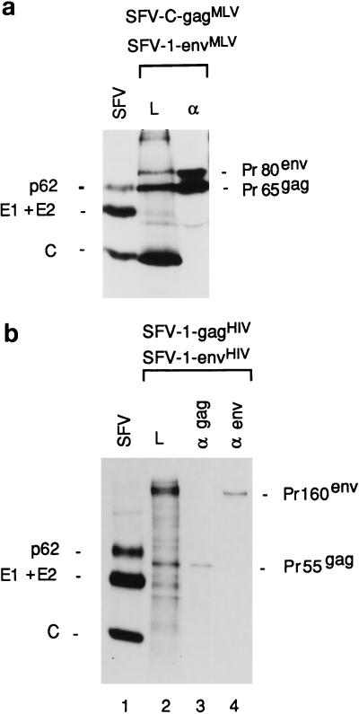 FIG. 9