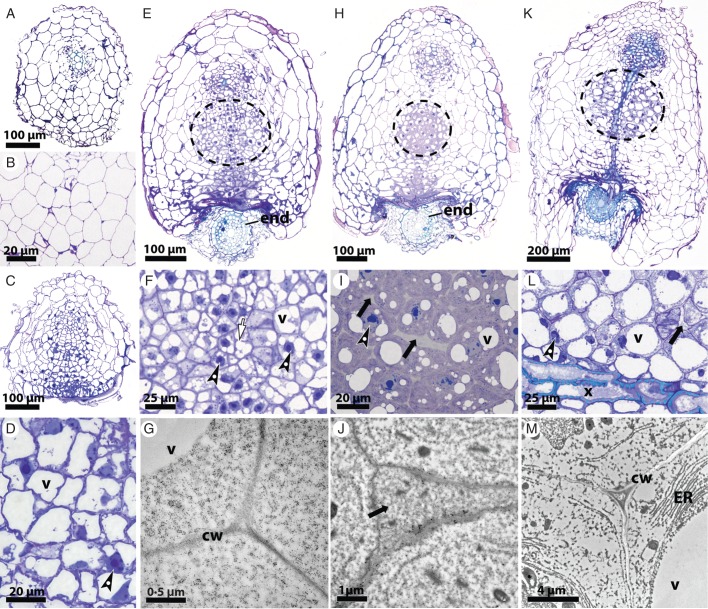 Fig. 2.