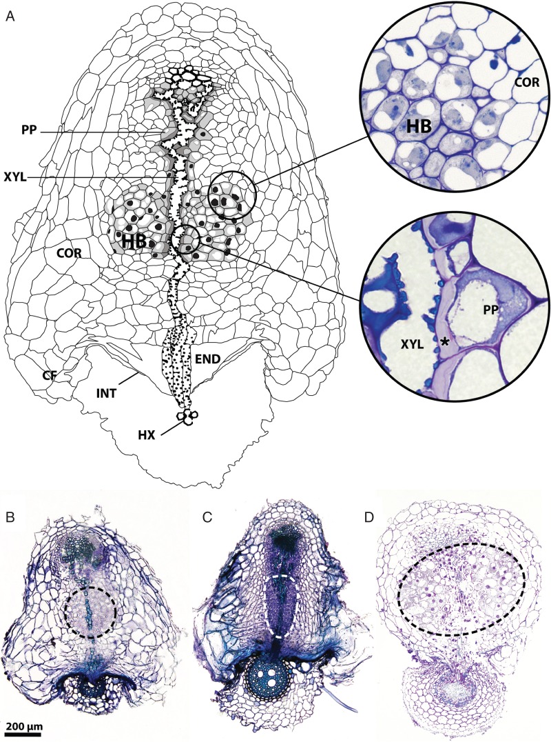 Fig. 1.