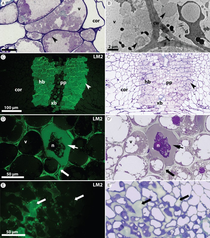 Fig. 6.