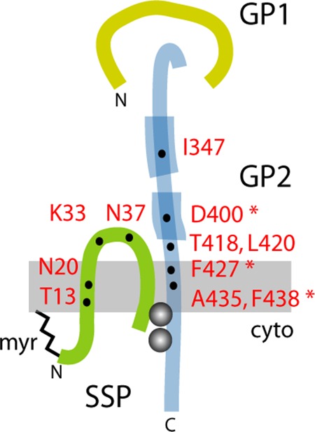 FIG 1