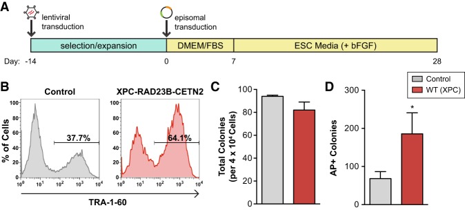 Figure 6.