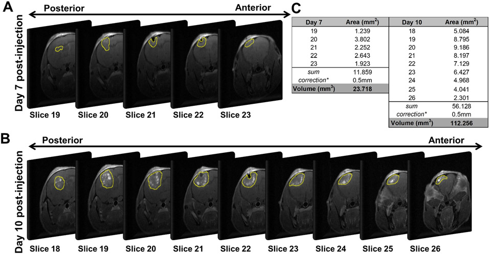 Figure 3: