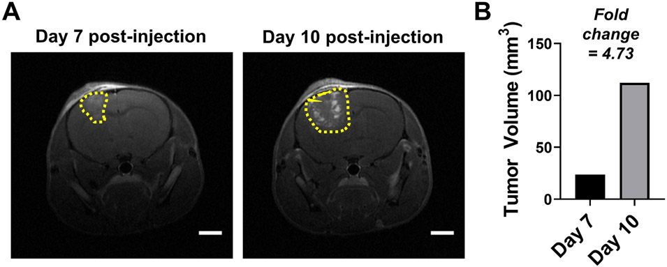 Figure 4: