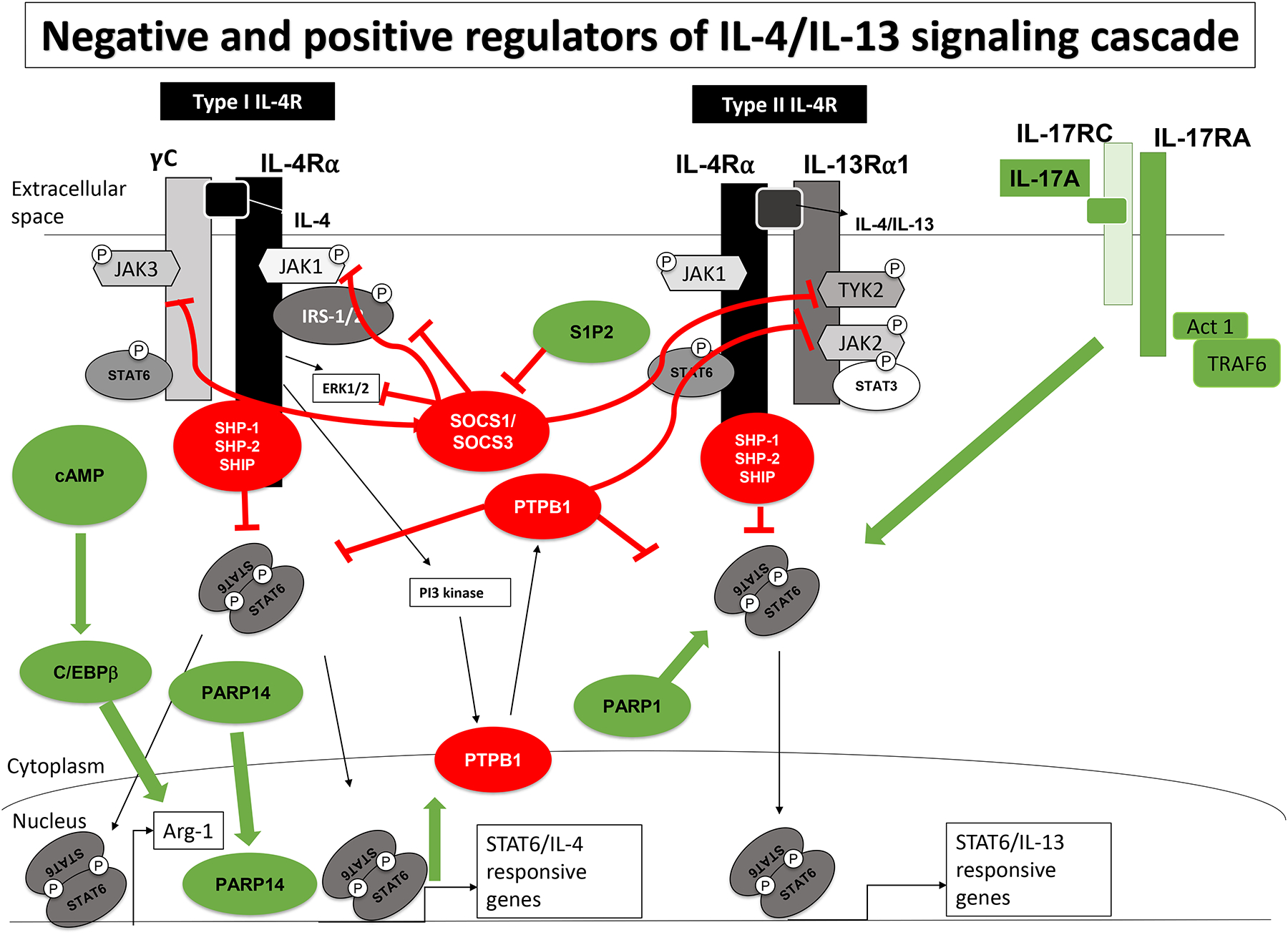 Figure 2: