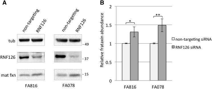 Figure 6