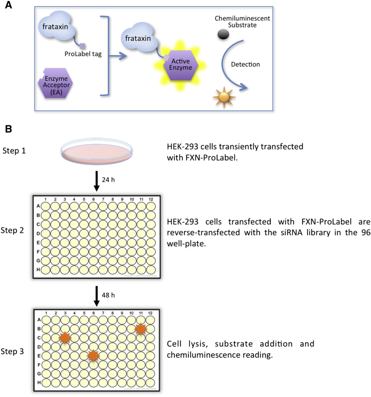 Figure 1