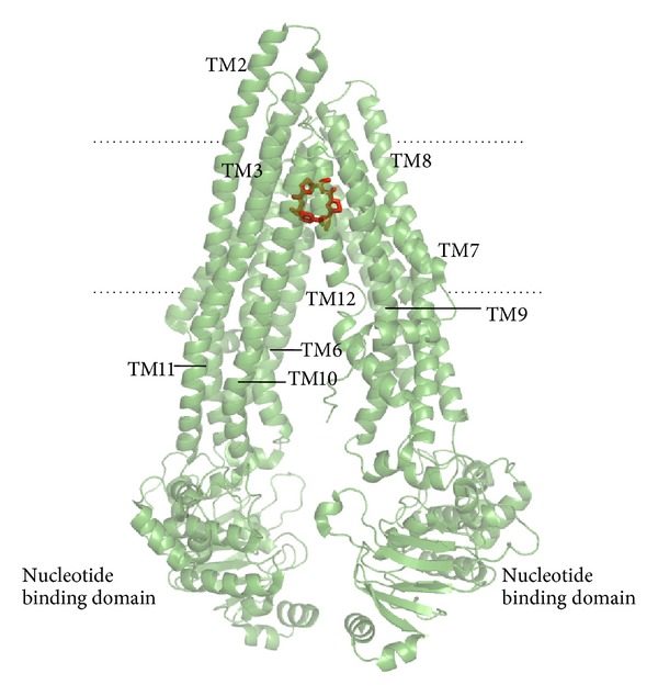 Figure 1