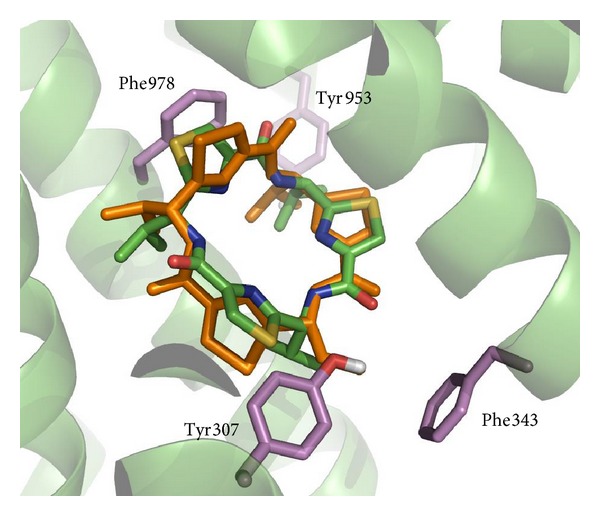 Figure 4