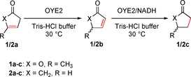 Scheme 2