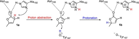 Scheme 3