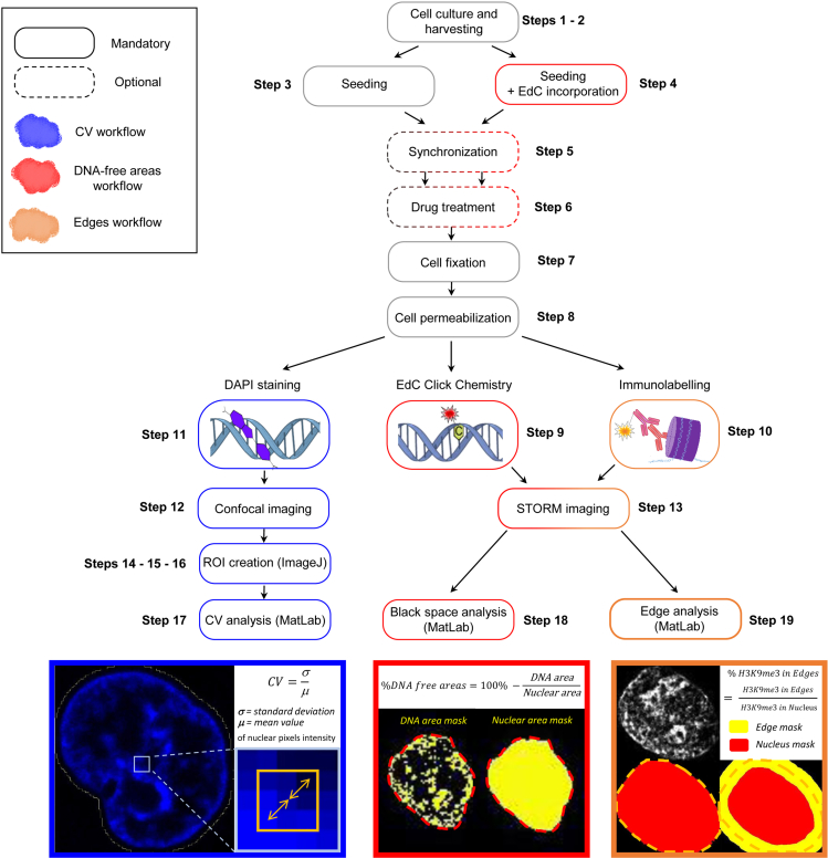 Figure 1