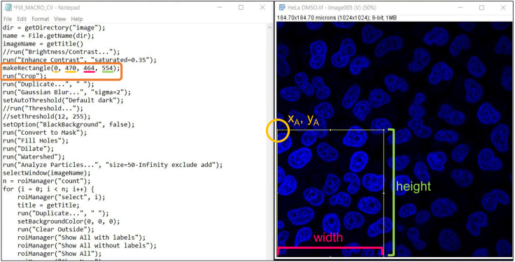 Figure 2