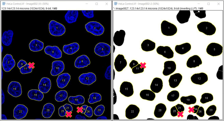 Figure 3