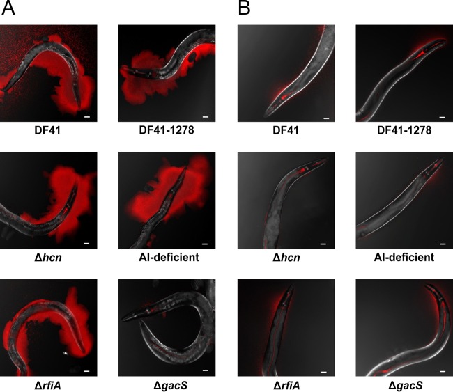 FIG 3