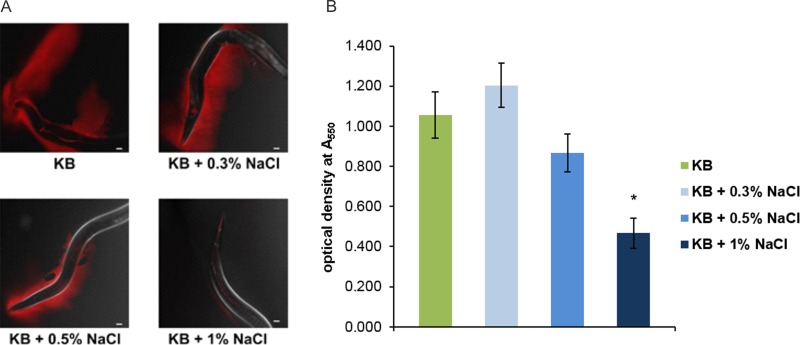 FIG 4