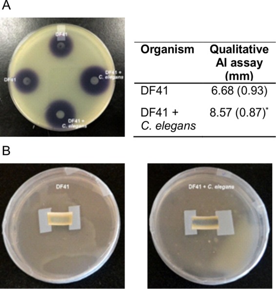 FIG 6