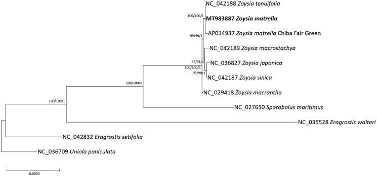 Figure 1.