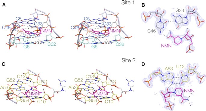 Figure 3.
