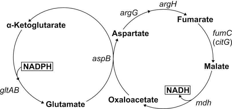 FIGURE 5.