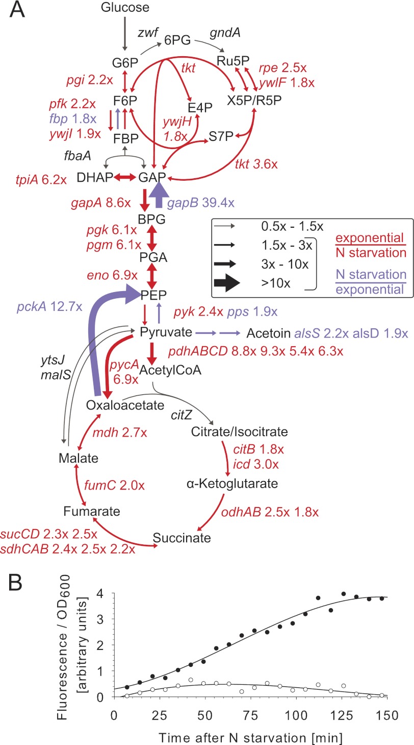 FIGURE 2.