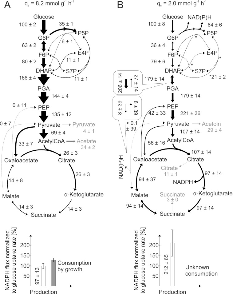 FIGURE 1.