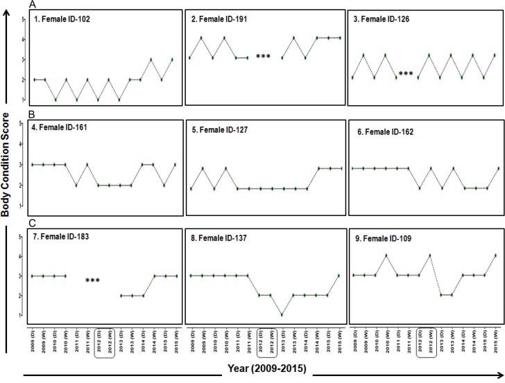 Figure 2: