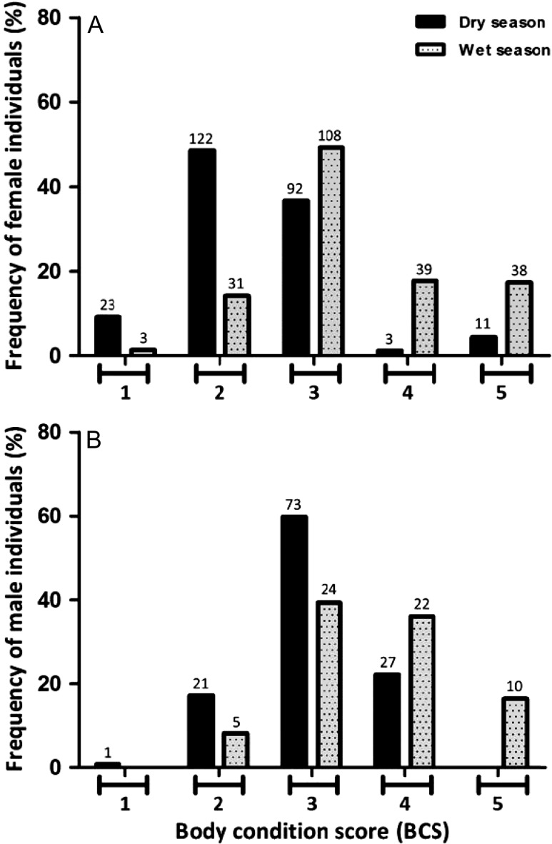 Figure 3: