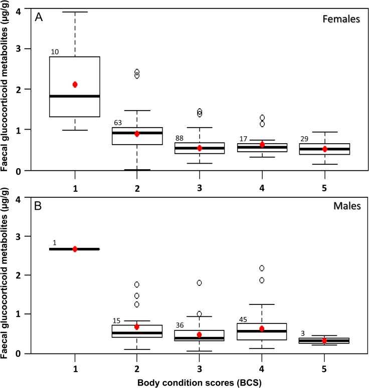 Figure 4: