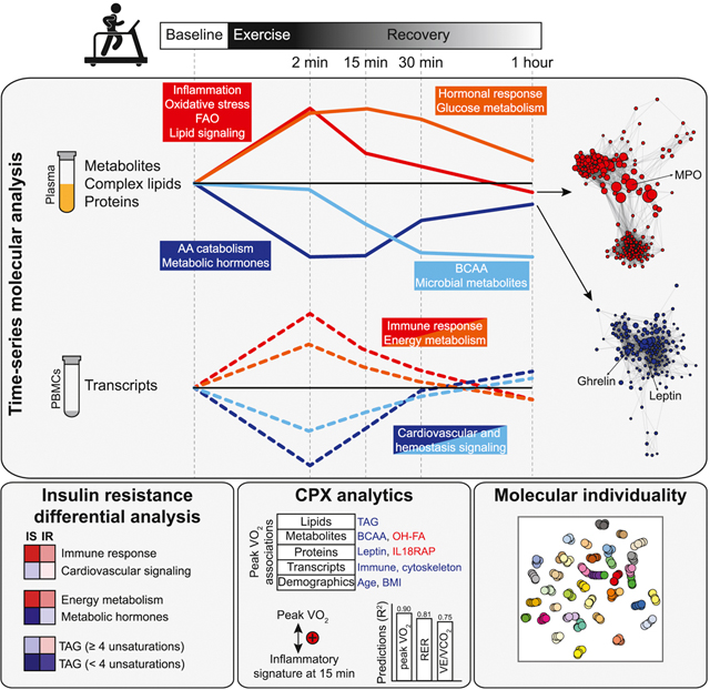 graphic file with name nihms-1588589-f0008.jpg