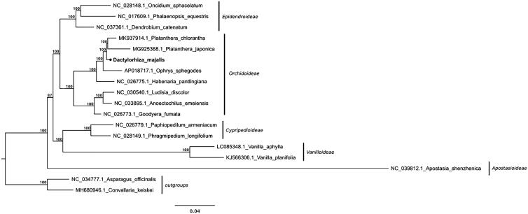 Figure 1.