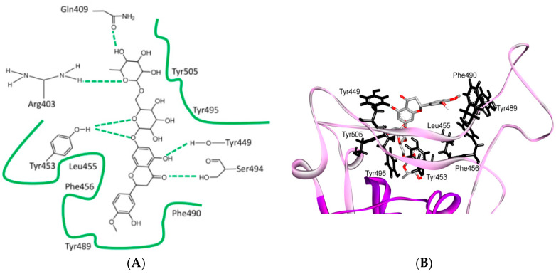 Figure 6