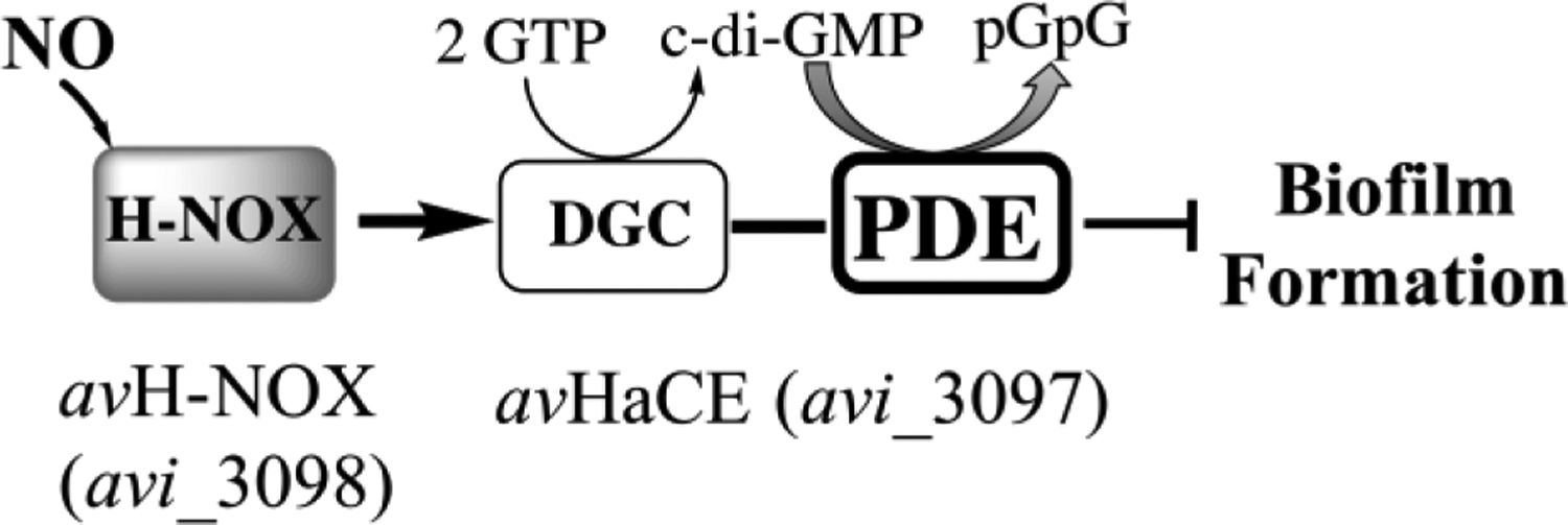 FIGURE 7.