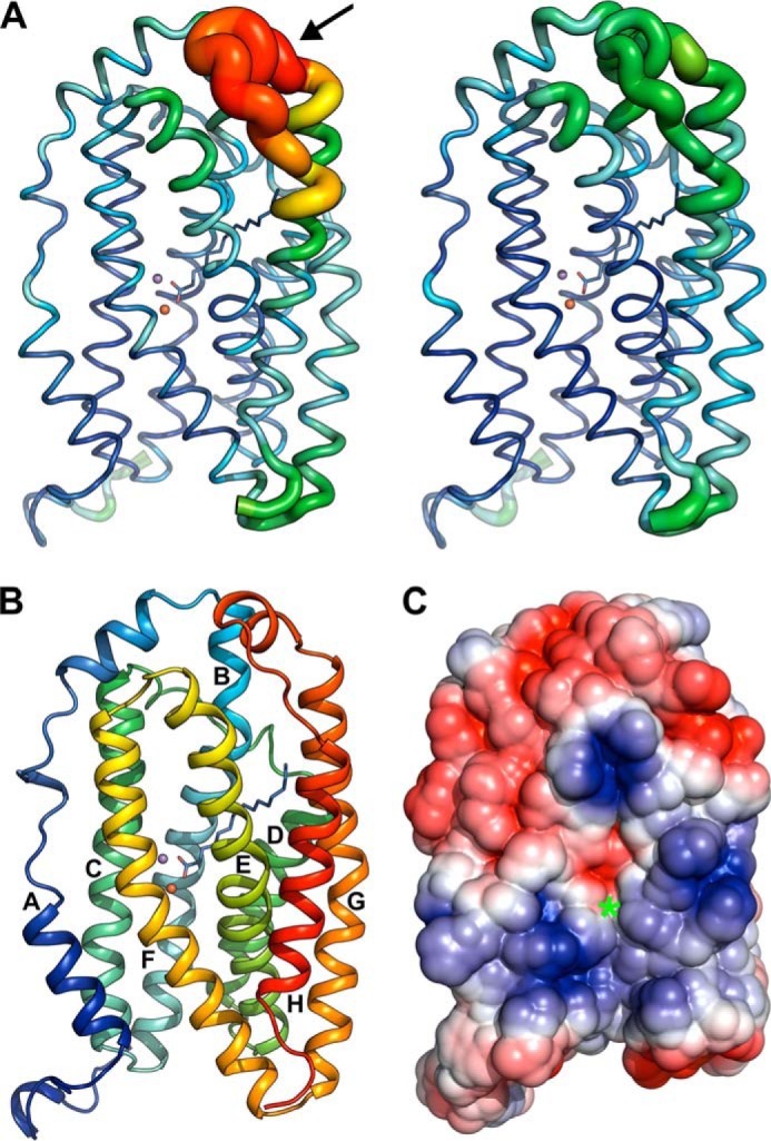 FIGURE 9.