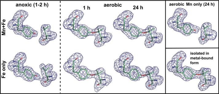 FIGURE 7.