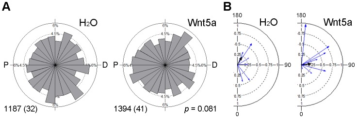 Figure 3—figure supplement 1.