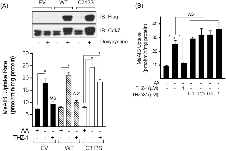 Fig. 10