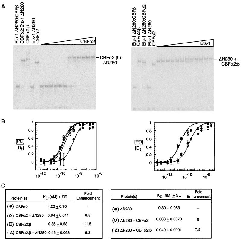 FIG. 6