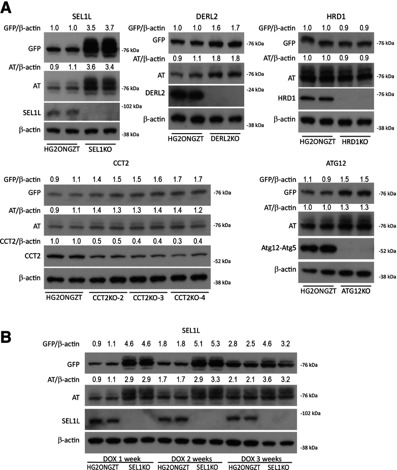 Figure 2