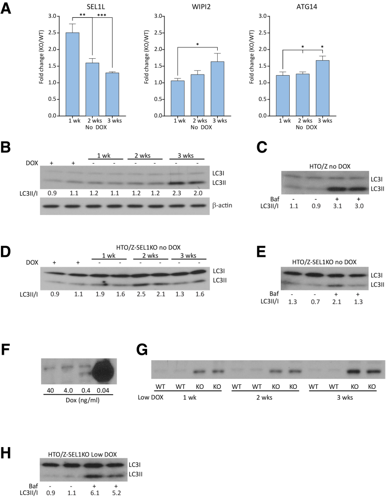 Figure 7