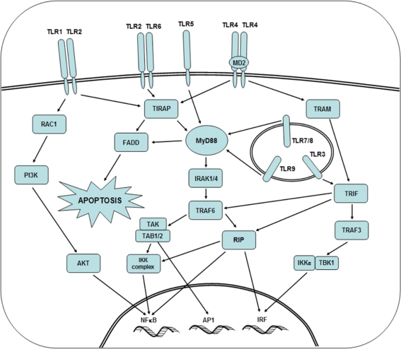 Fig. 1